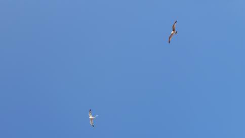 20180324_161711